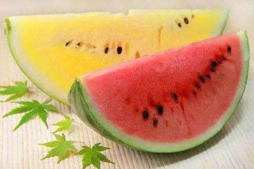 培养吃瓜群众的能力,解锁围观技巧与智慧