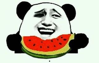 洛洛曦 卑微的吃瓜群众,揭秘娱乐圈吃瓜群众的酸甜苦辣