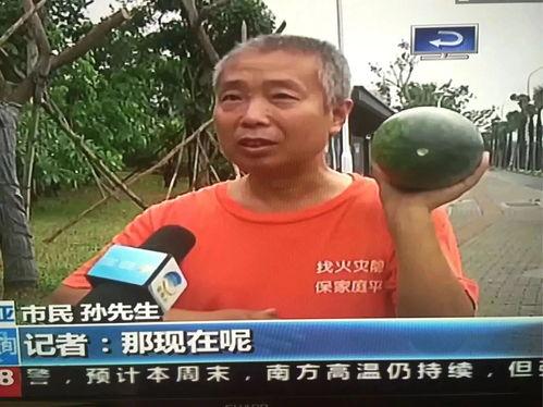 杭州地区吃瓜群众事件,网络舆论的风暴与反思