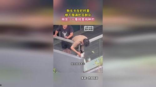 楼楼下的吃瓜群众,揭秘热门事件背后的真相