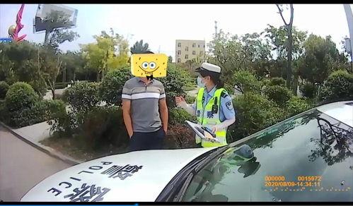 拉力赛吃瓜群众视角,吃瓜群众眼中的速度与激情