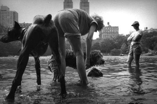 吃瓜群众瓜哥灵魂摄影师,捕捉光影中的灵魂瞬间