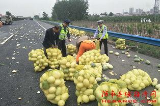 山寨吃瓜群众网红,背后的故事与争议