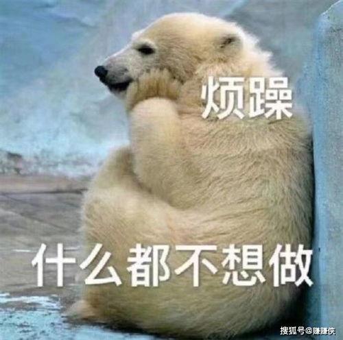 吃瓜群众吃瓜日常图片大全,揭秘吃瓜群众日常图片背后的故事