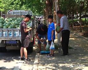 吃瓜群众群怎么进寿光,吃瓜群众如何轻松加入寿光群聊