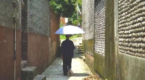 吃瓜群众岱岱乌衣巷,吃瓜群众的市井生活剪影