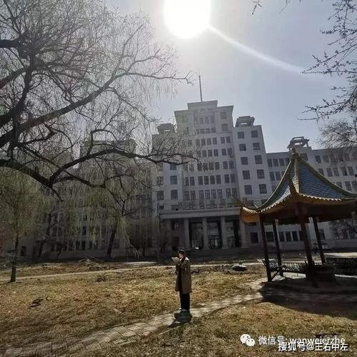 吃瓜群众岱岱乌衣巷,吃瓜群众的市井生活剪影