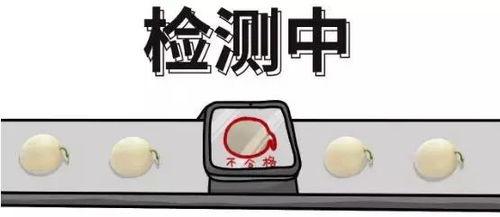 怎样解决吃瓜群众的,构建理性网络舆论生态