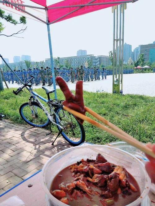 吃瓜群众干饭图片高清,趣味横生展现生活百态