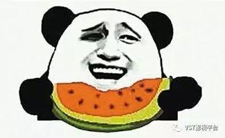 吃瓜群众进瓜园图片,吃瓜群众共赴田园盛宴