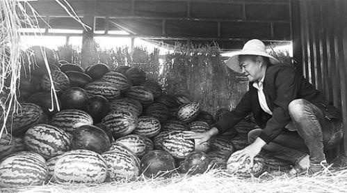 一个收破烂的吃瓜群众,揭秘收破烂者的日常