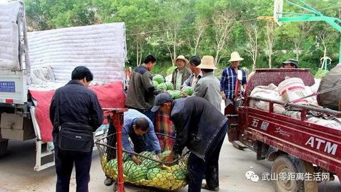 一个收破烂的吃瓜群众,揭秘收破烂者的日常