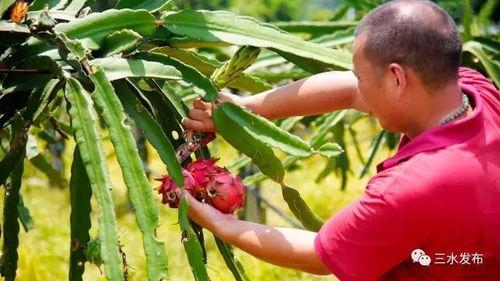 山水吃瓜群众,揭秘隐秘角落的趣味生活