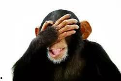 吃瓜群众捂脸,揭秘娱乐圈幕后真相