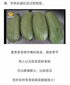 吃瓜群众注意事项和禁忌,注意事项与禁忌全解析