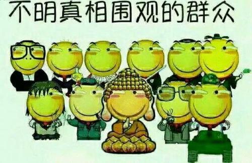 吃瓜群众吃货家族小说,舌尖上的江湖传奇