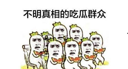 QQ吃瓜群众群聊内容,揭秘热门话题背后的真相与笑料