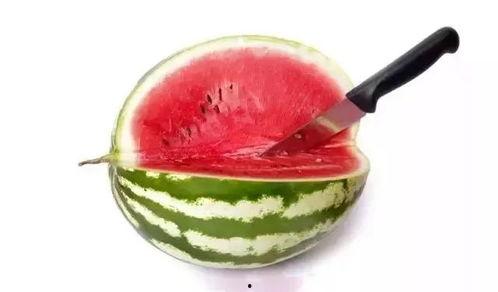 吃瓜群众等级排行,谁才是瓜界翘楚?