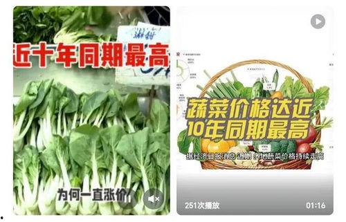 吃瓜群众钱挣的多少菜,揭秘不同收入水平的吃瓜群众生活