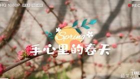 吃瓜群众最认真的人是谁,谁是吃瓜群众中最认真的观察者？